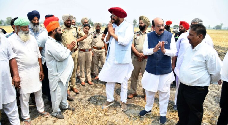 kuldeep dhaliwal