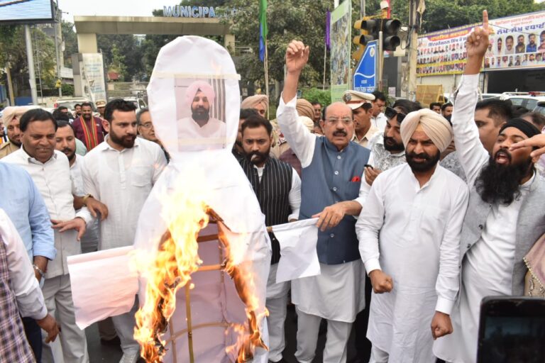 WhatsApp Image 2025-11-04 at 7.41.26 PM