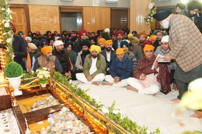 WhatsApp Image 2025-11-18 at 8.30.44 PM