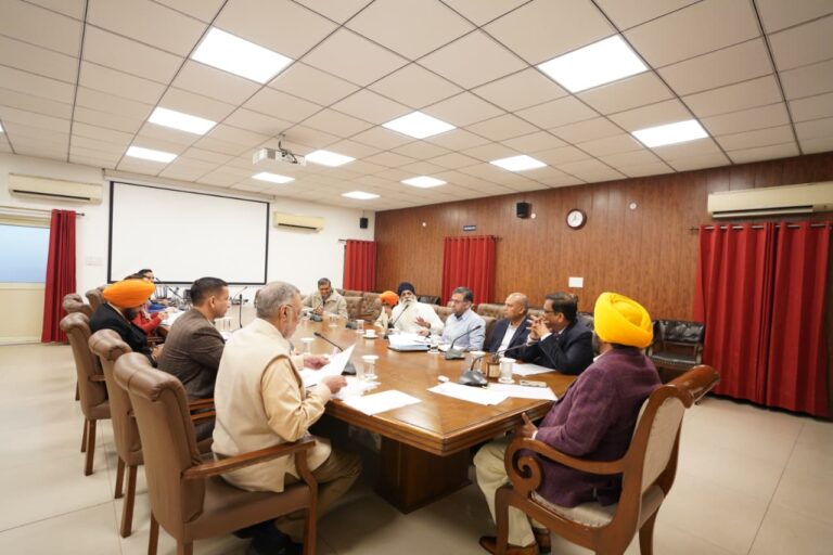 WhatsApp Image 2025-12-25 at 5.53.04 PM (1)