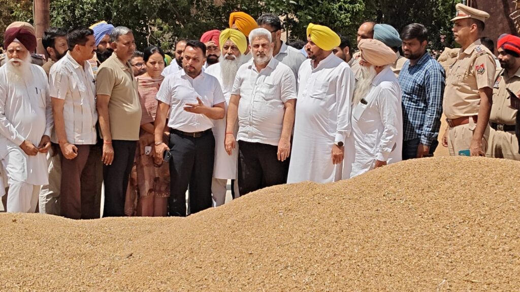 WhatsApp Image 2026-04-20 at 6.00.15 AM (1)