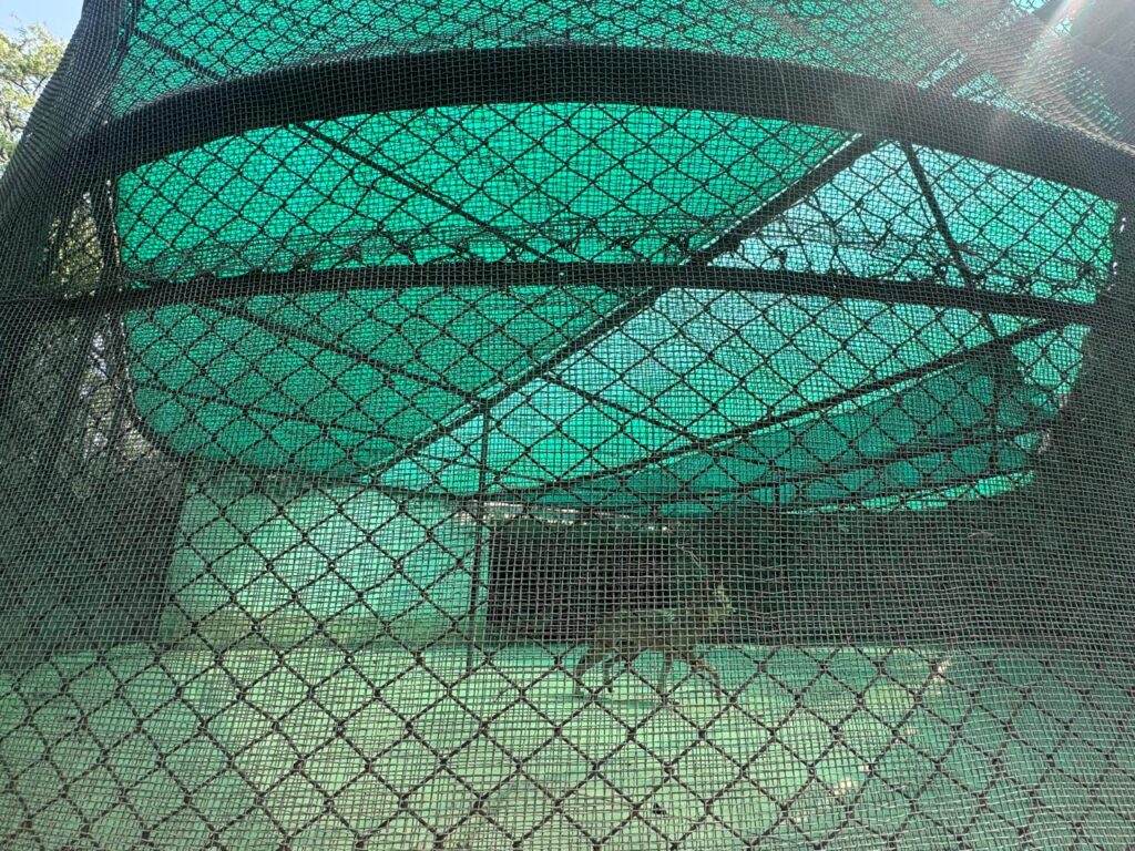 WhatsApp Image 2026-05-20 at 4.14.16 PM