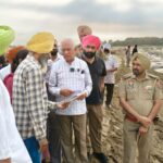 Pic (8)