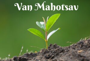 Van Mahotsav