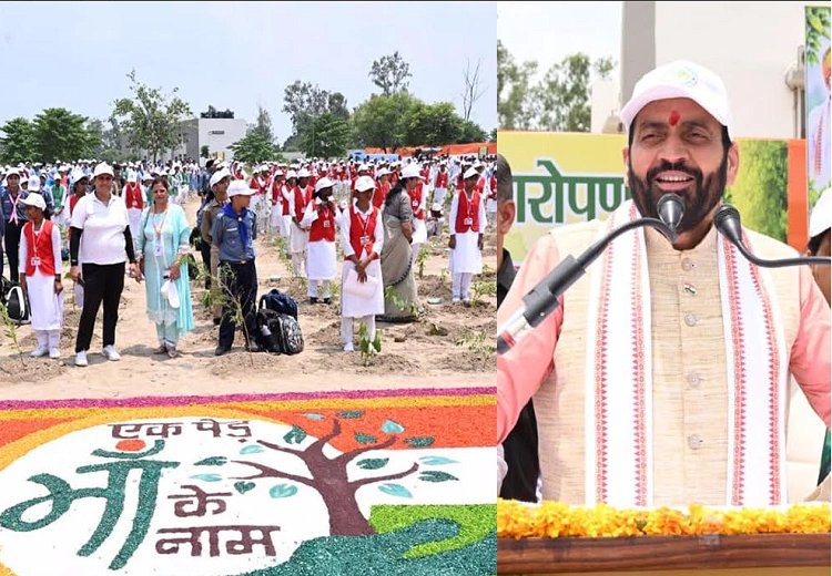 Van Mahotsav in Haryana