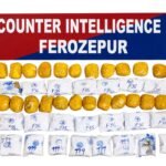firozpur drugs