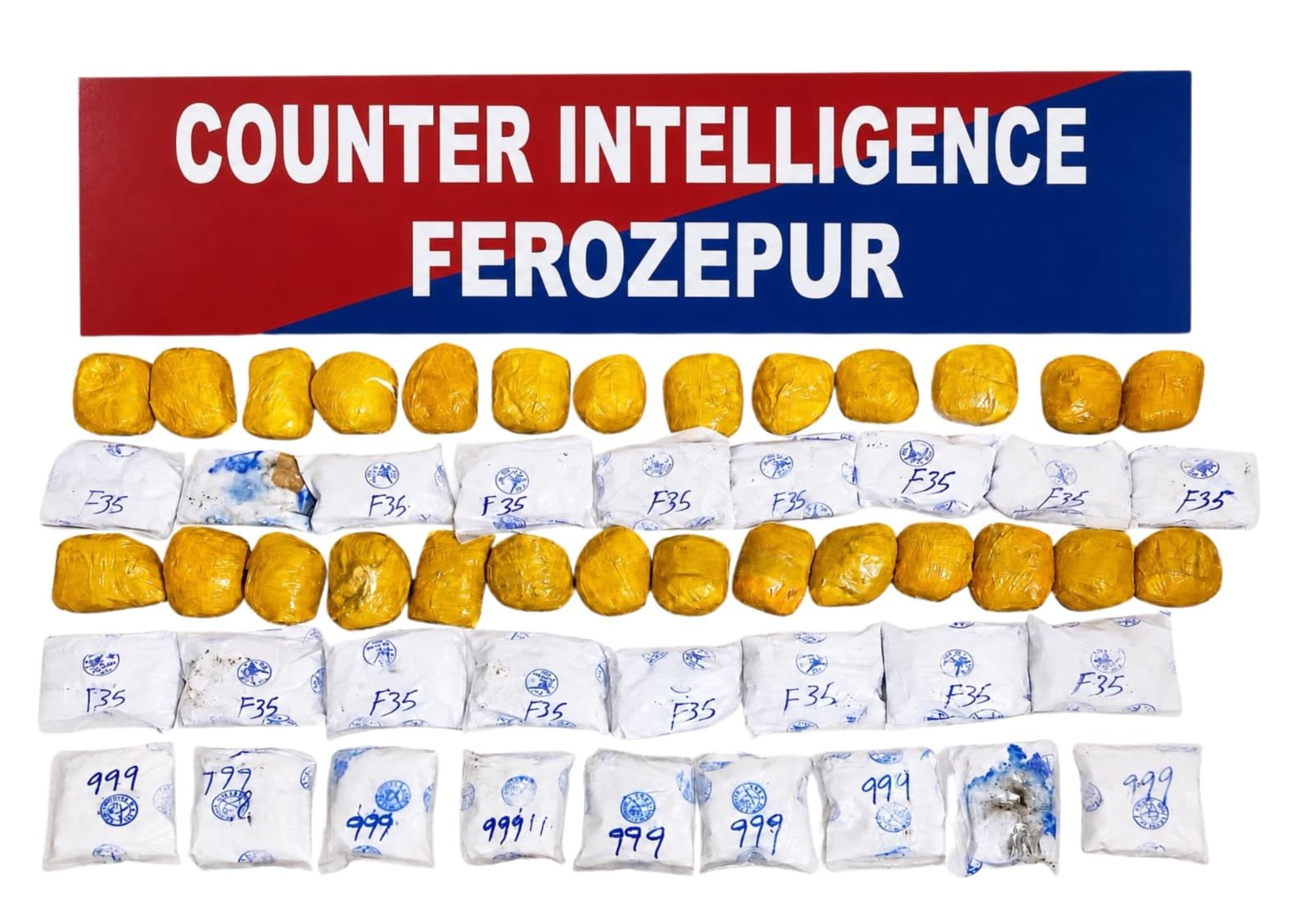 firozpur drugs