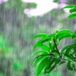 wheather news