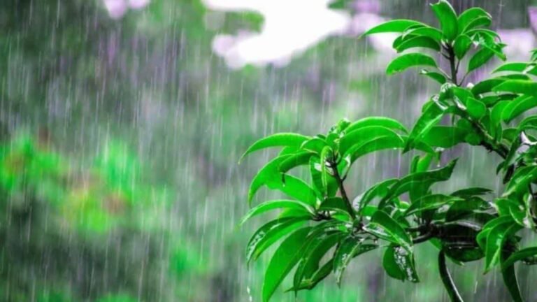 wheather news
