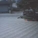 Oplus_131072