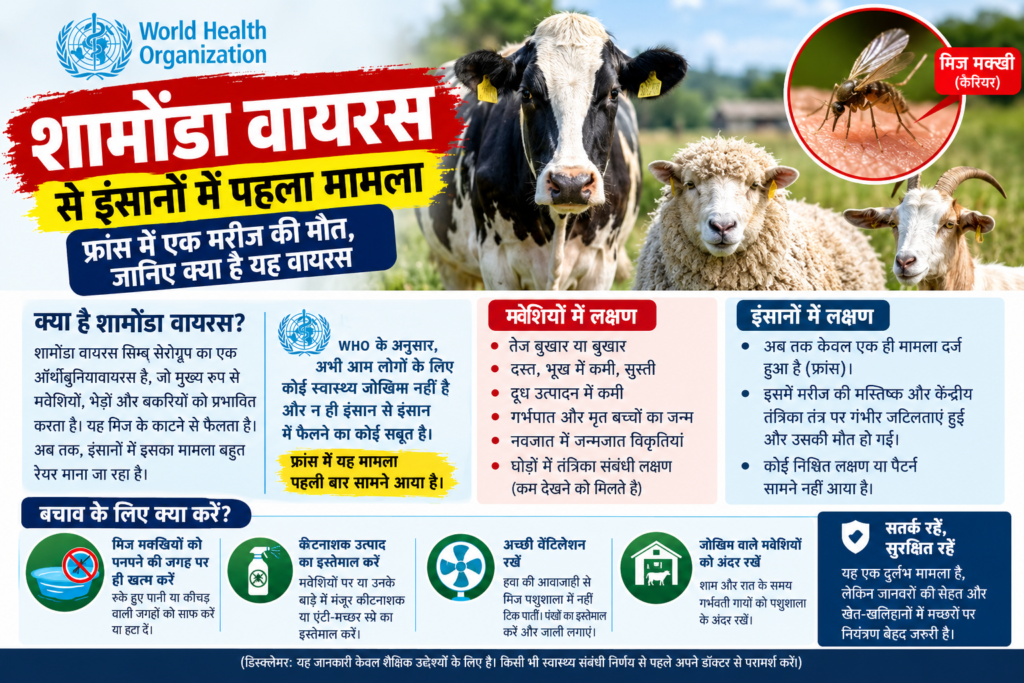 WHO Health Alert_ Schmallenberg Virus