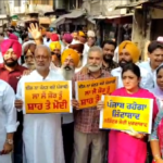 AAP का प्रदर्शन