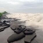 cyclone arnab impact in andhra pardesh