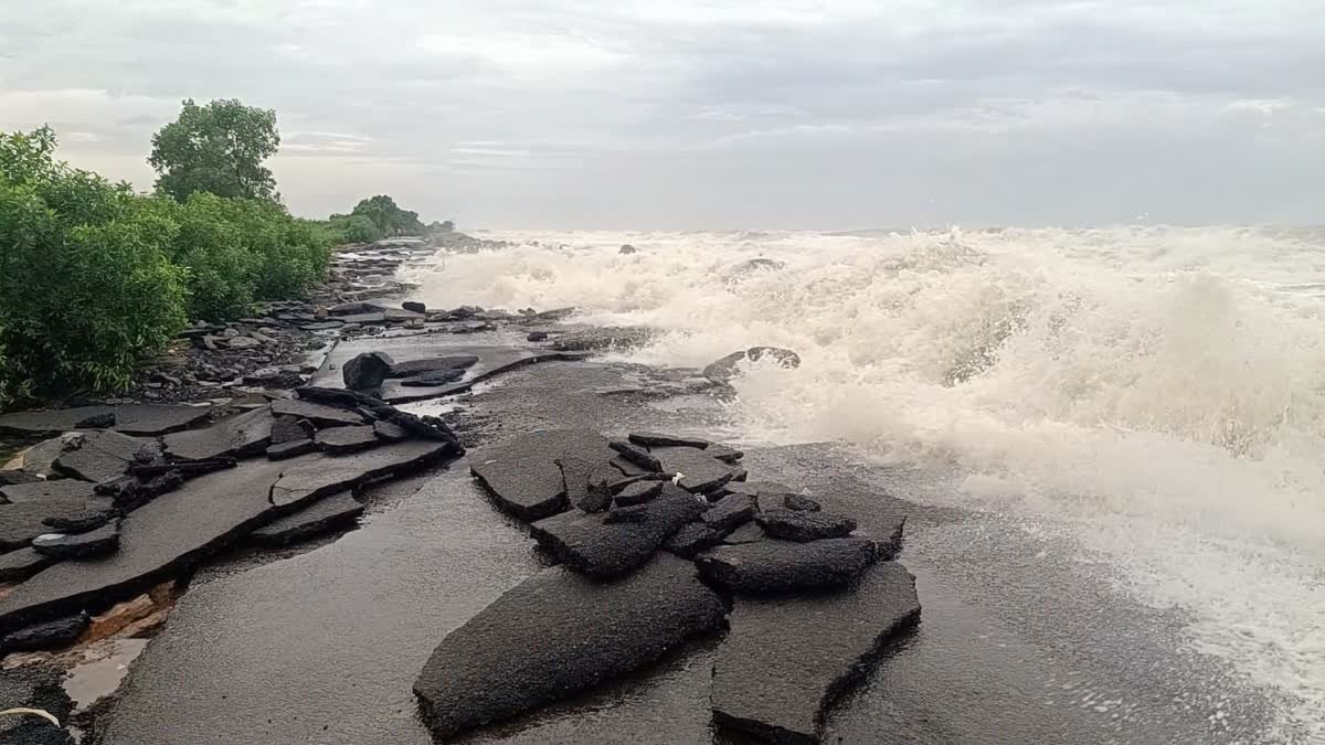 cyclone arnab impact in andhra pardesh