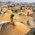 haryana kisan