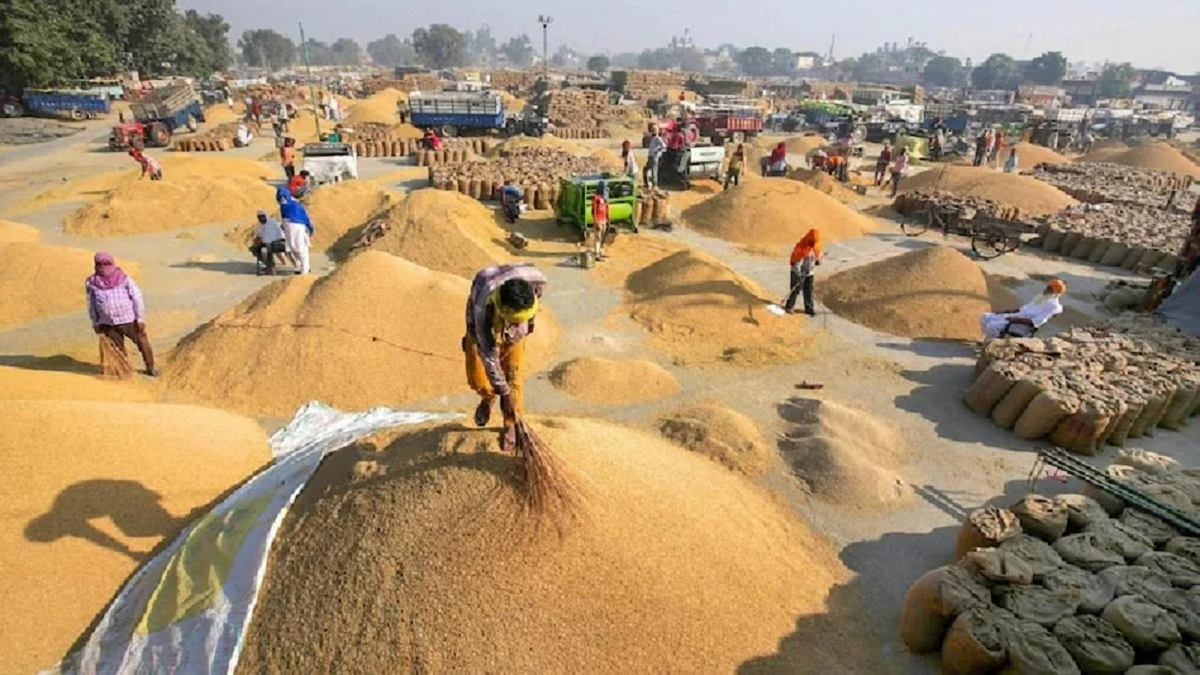 haryana kisan