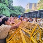 cjp protest